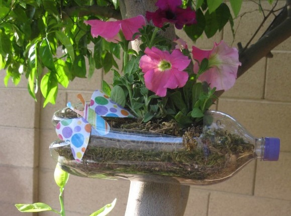 Клумба из пластиковой бутылки для садовых цветов