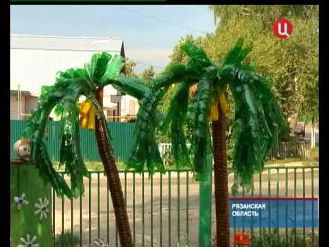 Экзотика из мусора, ТВ-Центр